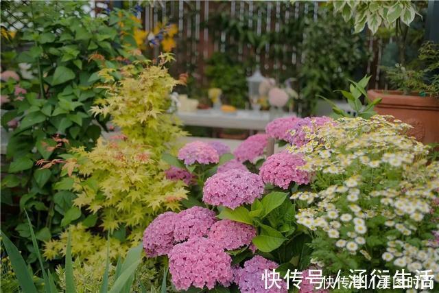 绿化区|6招圆你中式庭院梦,有院子一定要做成中式风格,充满意境之美