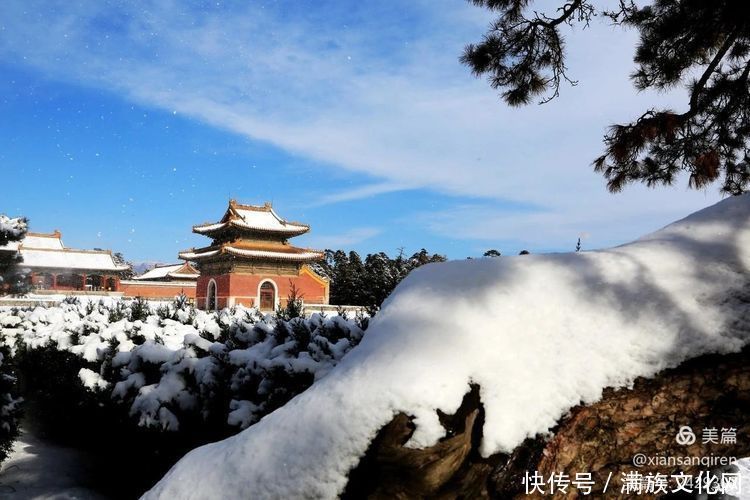 冬日的清西陵等你来看雪