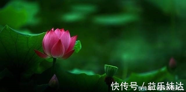 梦溪笔谈!易经:一个人常常沉静,虚空自己,则有如神助