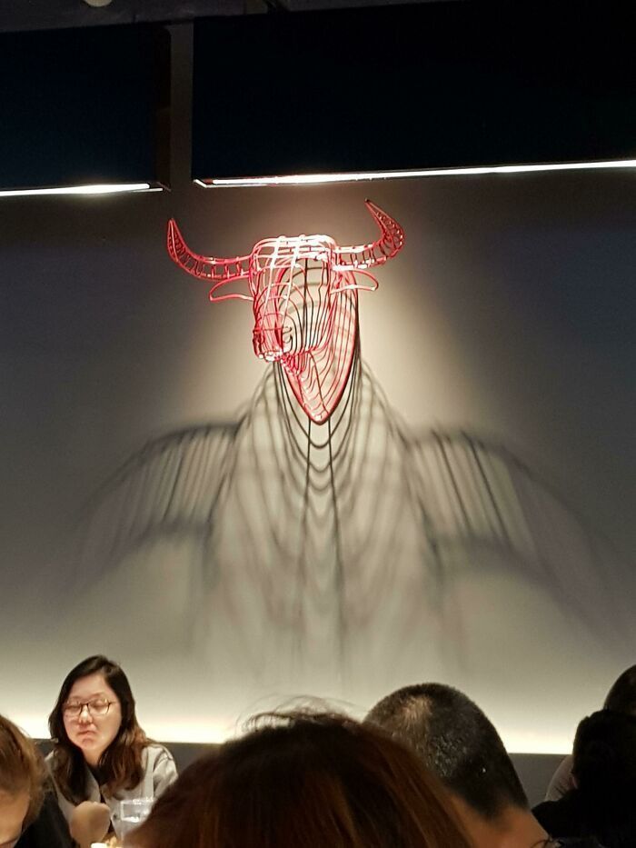 照片@一组令人称奇的真实照片,让人怀疑自己的眼睛