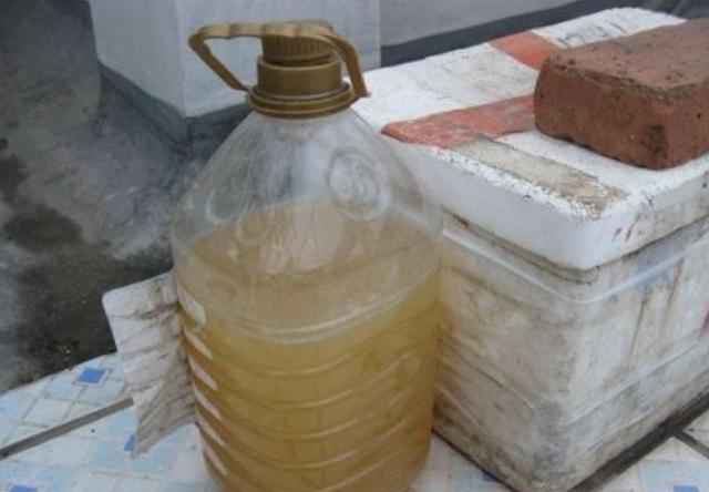 养花发酵肥水时间太久,教你1个“小技巧”,20多天就能用