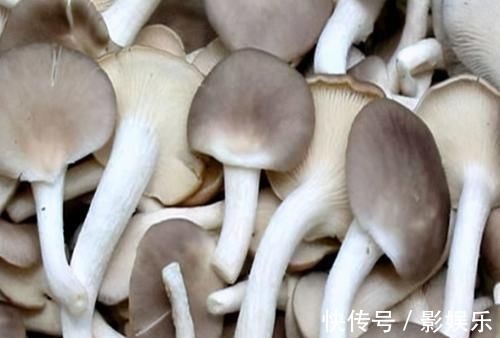 糖尿病人|女性想要身体好,可以多吃3种食物,排毒养颜,提高免疫力!