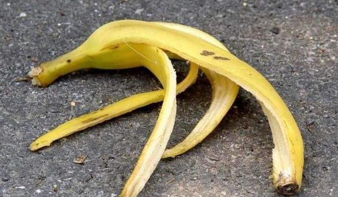 开花|想让蟹爪兰长得好,就用上2种料,保准一年能够开花200多天