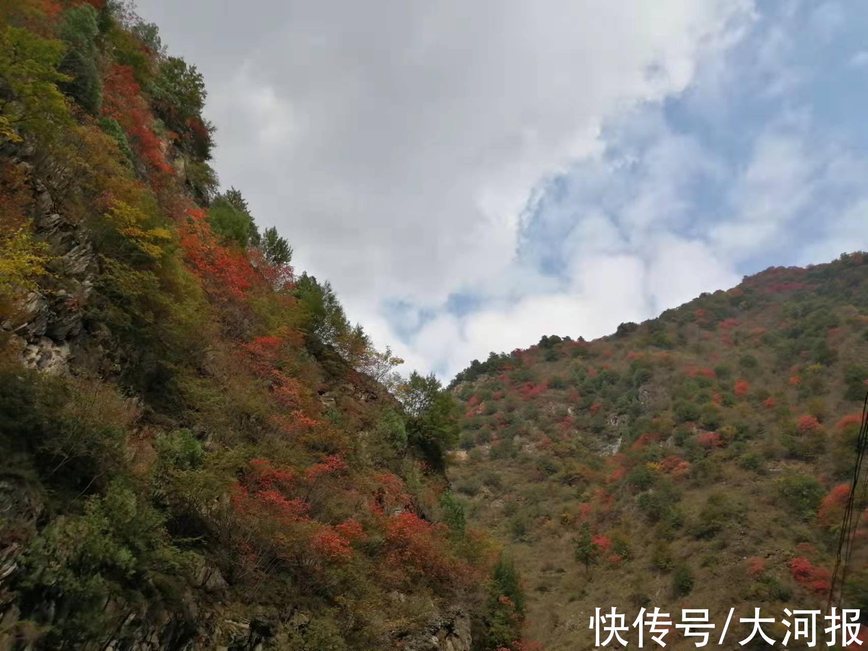 旅游|河南又有两地入选 目前已有13地成为中国天然氧吧