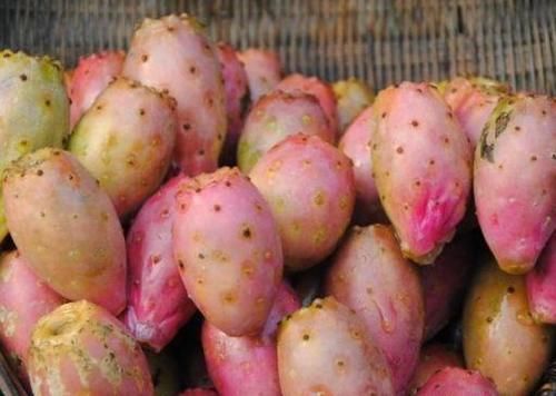 秋天|秋天来了,可以坚持吃3种食物,营养丰富,身体棒棒哒!