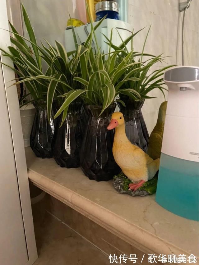 夏天养花,这个地方千万别摆,否则3天死翘翘