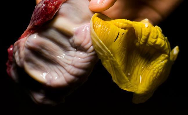 大米粥|脾胃虚弱?医生:教您一道制作简单的养生粥,常喝脾胃舒适健康