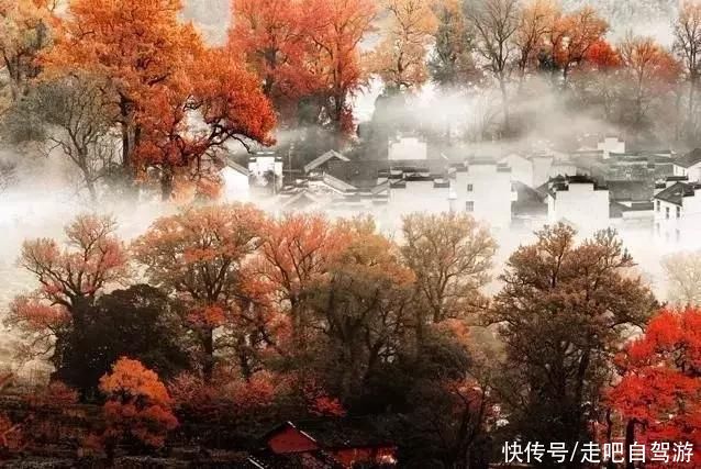 中薪|2021适合放风的安静古镇，适合独身幽静几日