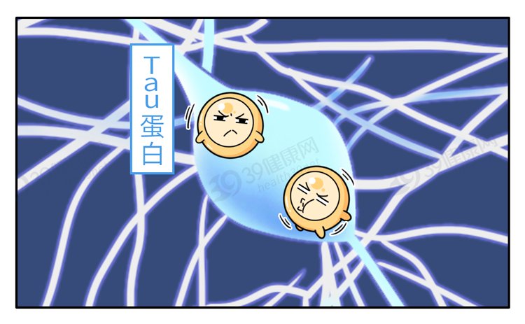 颅骨|大脑又软又糯，为什么我们可以摇晃翻滚，脑子不会烂成一团？