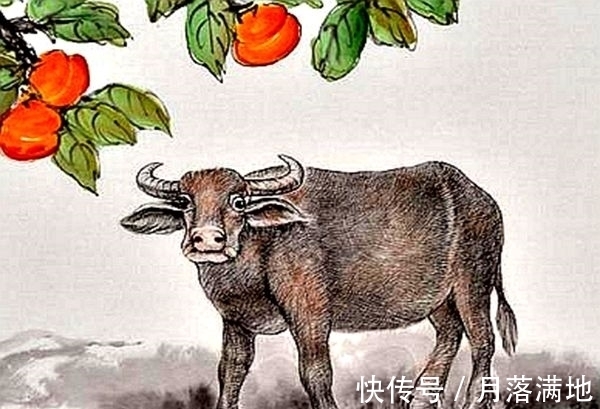 财运|近一个月,钱包变胖,职位晋升,财运比天高的生肖