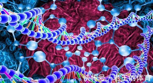 丈夫|夫妻变老后，为何大多是丈夫先去世？医生说出原因，男女都要重视