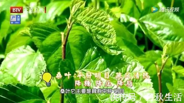 益寿延年|它被誉为“神仙叶”,每天一把泡水喝,三高慢慢降下来,益寿延年