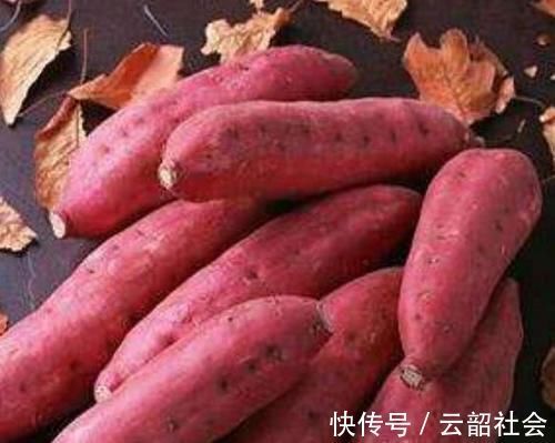 维生素红薯是个“宝”,常吃身体好,但这1个禁忌要清楚,别再吃错