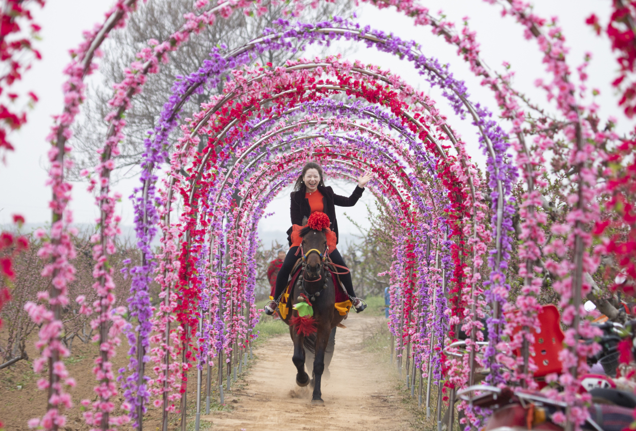 夏县2021“夏都花开 醉美乡村”胡张乡首届桃花节正式开幕