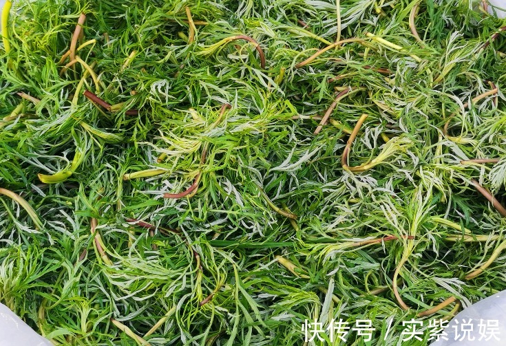 三人行必有我师焉|天天喊着吃野菜，牢记“3吃，5不吃”！为了家人健康，别再吃错