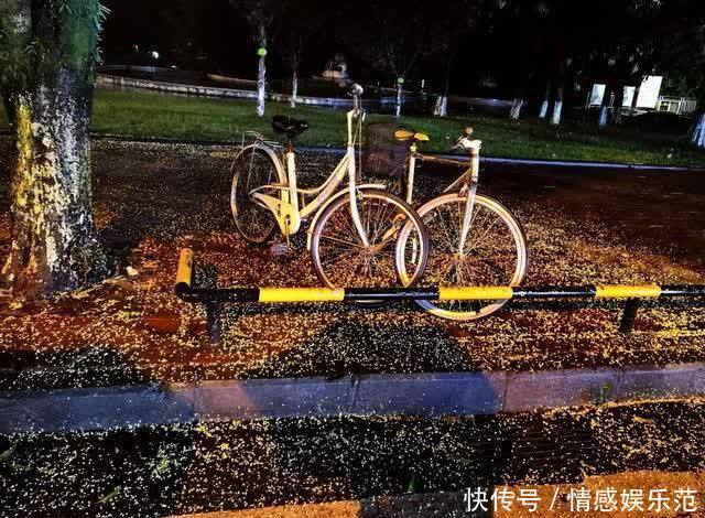 西安|点击查看川农专属气味图书馆