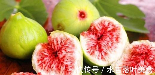 无花果树浑身是宝!成熟的果实软糯香甜,枝叶还有这3大妙用!