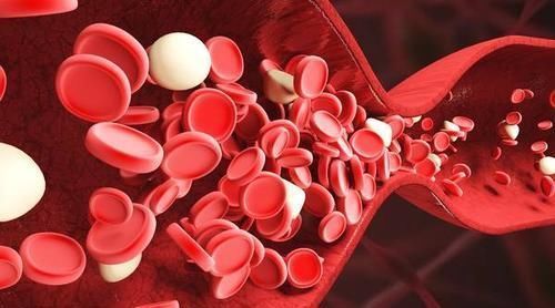 偏高|血脂高不高，看脚就知道，四个方法让你血管畅通