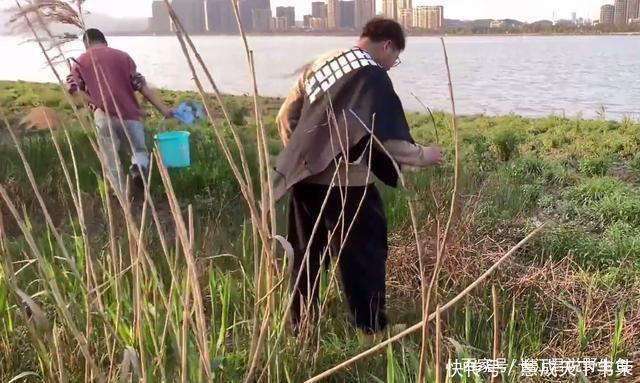 长江君|退水后钱塘江滩涂变“鳖滩”,甲鱼四处乱爬,有人一会捡了十几只