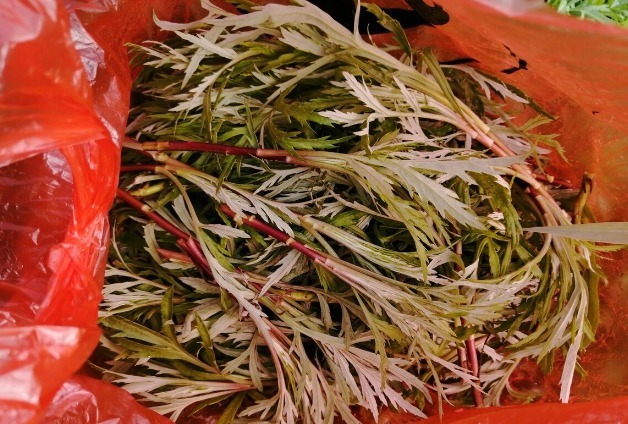 凉拌|65种野菜图片,带你认识不同的野菜和吃法,你想要的野菜这里都有