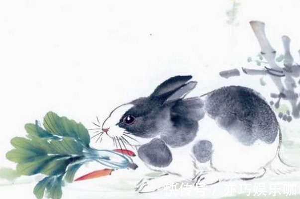 幸福|生肖兔婚配大全，性格温和的兔子，和这几个生肖十分搭配
