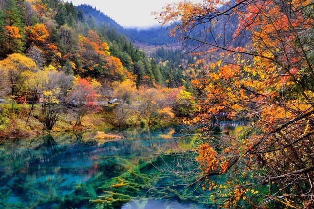 四川|国庆旅游最佳去处，就在四川，号称“水景之王”，是重要世界遗产