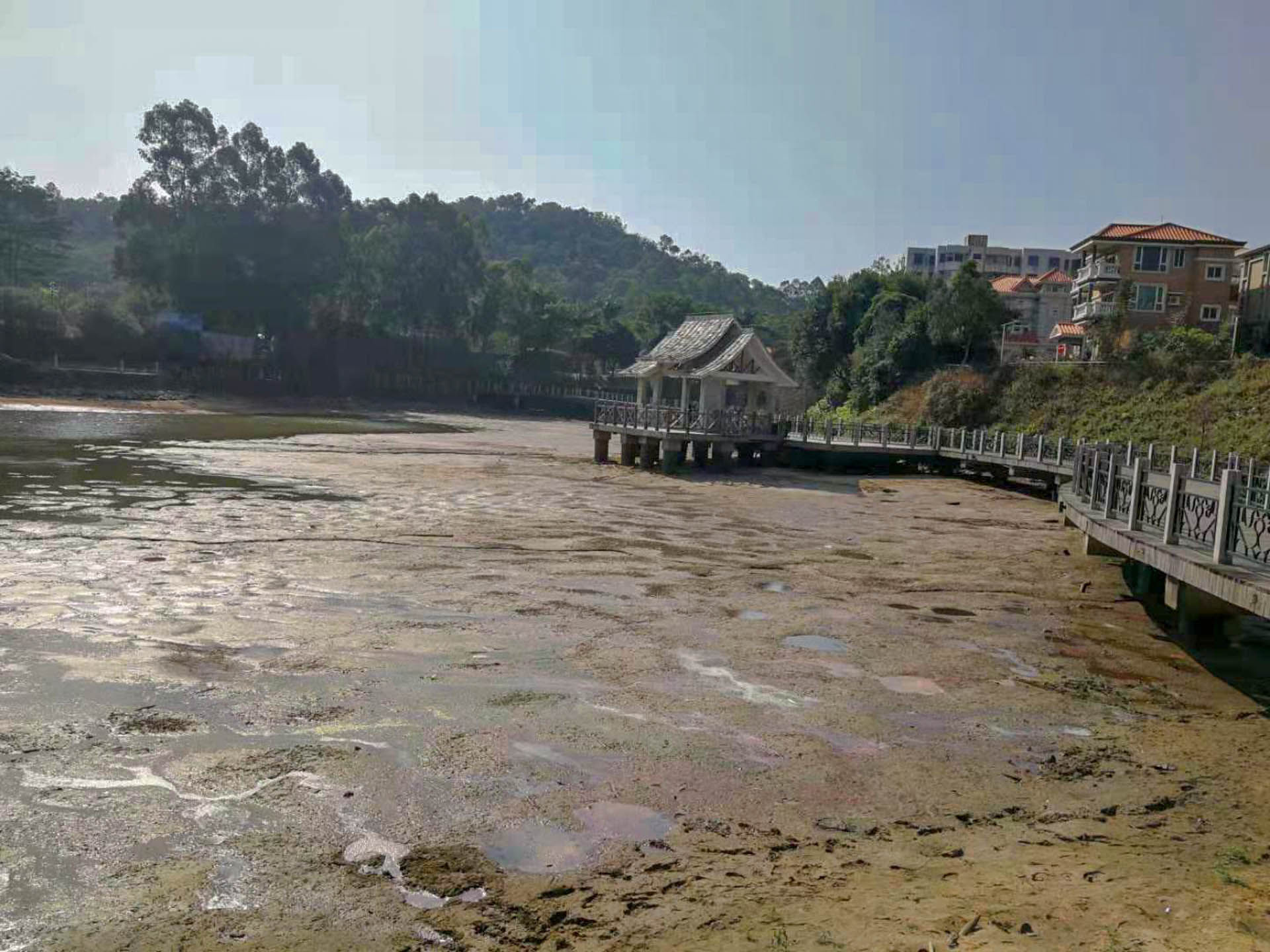 老年|温暖的旅行 自驾第十一季 休闲阳江市区 打卡名扬湖畔