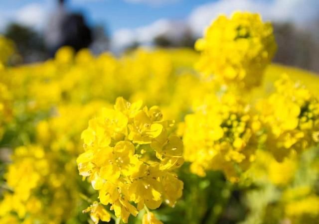 好日子就要来了 4月13日 4月30日 迎财神送衰神的三大生肖 全网搜