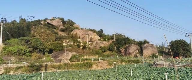 春日再游香山（作者：漳浦 宽心）