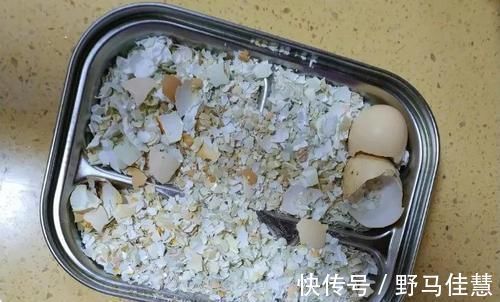 鸡蛋壳养花,用好了才是花肥,用不好,养一盆死一盆!
