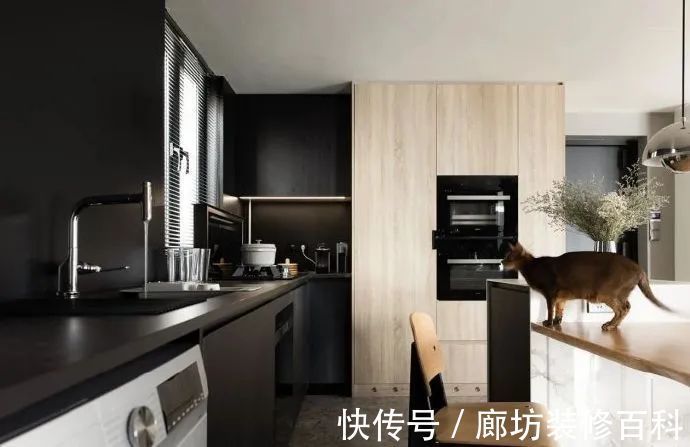 小户型|81m2独居住宅,打造书与猫与人的居家空间