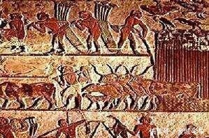 杰斯|古埃及的强势自由民阶级——涅杰斯