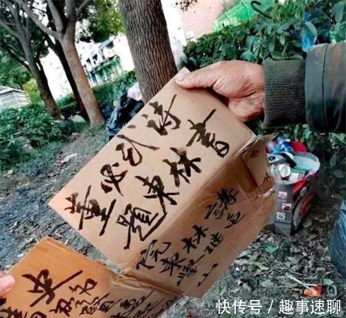 一位是流浪汉,一位是知名才女,两人书法对比,到底谁更胜一筹?