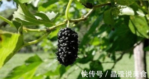 维生素c|会吃的人更健康,多吃3种食物,净化血液,缓解疲劳,改善失眠