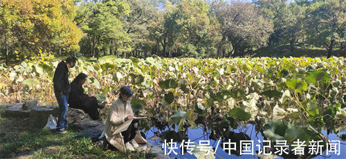 中国传统文化！不负韶华 北京市海淀区美术家协会圆明园写生活动