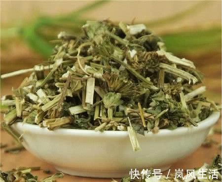 南瓜藤|女人来大姨妈时, 这些食物一定要多吃, 帮助子宫排污, 远离妇科病