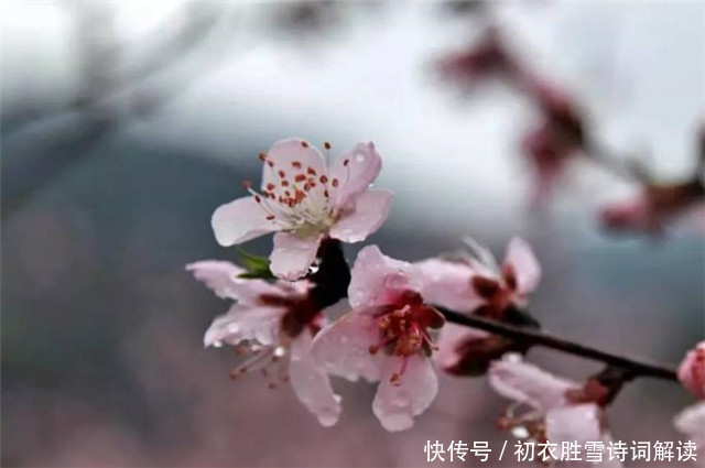 古诗词|古诗春愁诗6首,春思春愁一万枝,古人如何看待春愁?