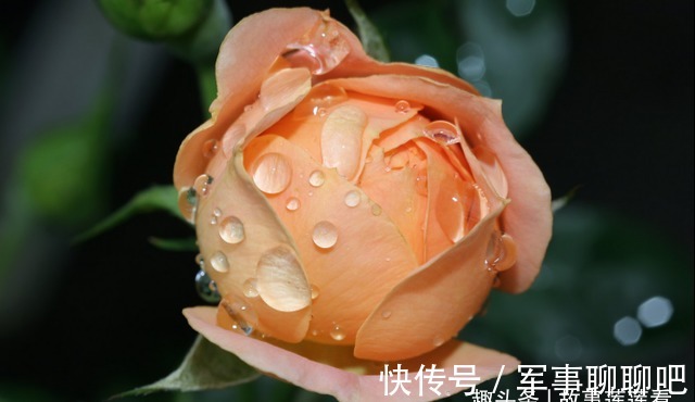 新欢|6天后,往事如烟,随风飘散,不念曾将,昂首向前,此生各奔天涯