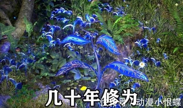 斗罗大陆动漫|斗罗大陆:冰火两仪眼的加成有多强?阿银重修到十万年只需5年