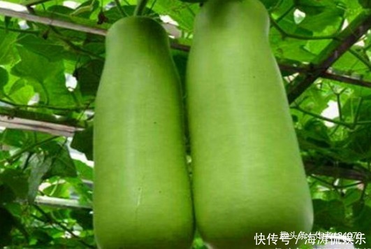 女性|女性想要身體好,堅(jiān)持吃4種食物,排出毒素,滋養(yǎng)女性子宮