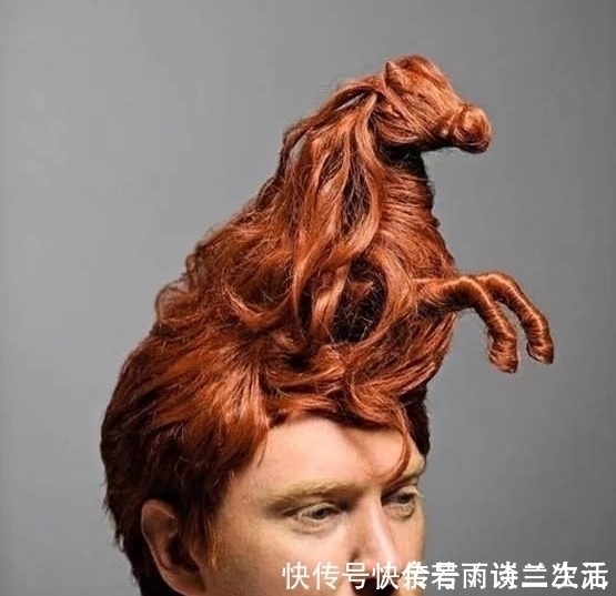 喵星人|11个笑死人的发型,看到第一张就被震惊了!发给大家乐一乐~