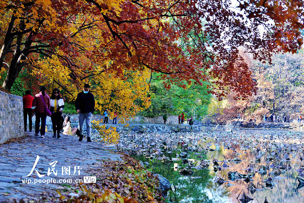  颐和园|北京：颐和园秋色美