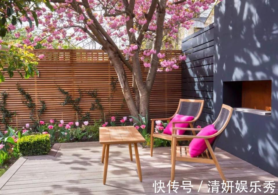 蚊虫|邻居的院子夏日几乎没“蚊虫”,原来是因为养了3种花,我也要养