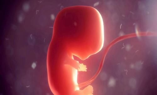 腹中娃|孕妈满足口腹之欲,腹中娃却遭殃,嘴馋的孕妈要注意避开这些食物