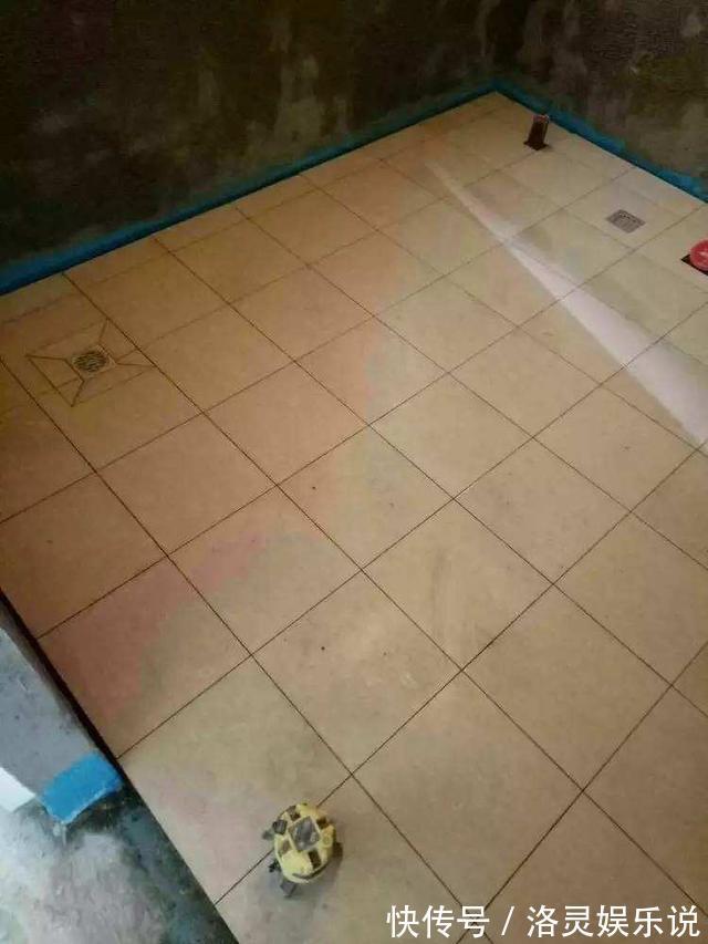 堵塞|卫生间地漏下水慢洗澡一地水装修时注意这3点,积水哗哗都流走