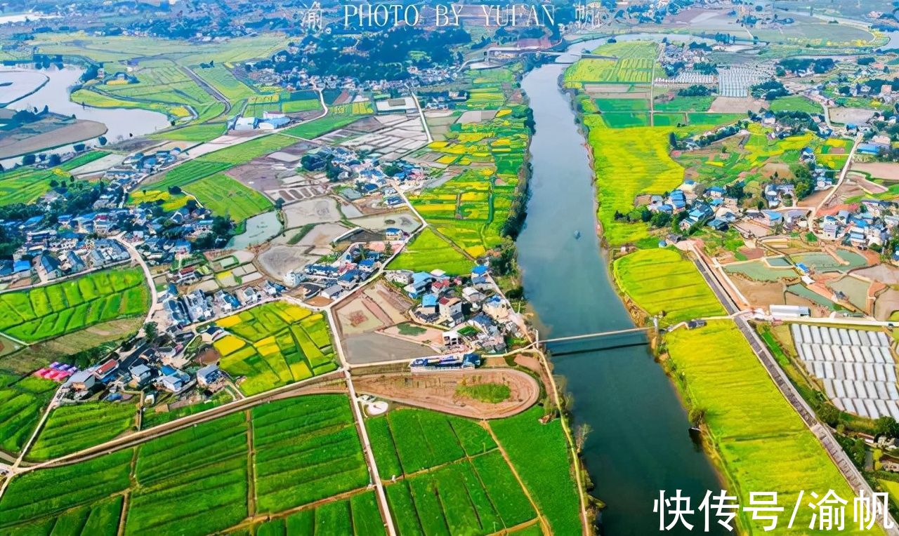 潼南|重庆春天从潼南开始，中国最美油菜花海已经开好，扫黄赏花约起来