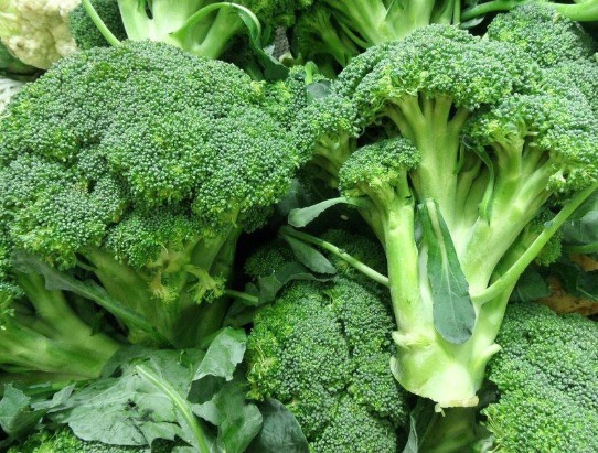 禁忌|吃西兰花好处多多,但要牢记2大禁忌,吃错了还影响健康!