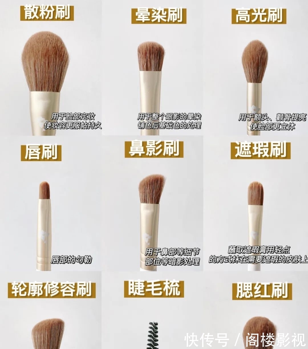 科普|新手必看|化妆刷科普保姆级画眼影教程