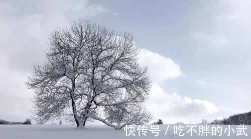 悲愁&罗隐的一首《雪》,短短八句话,不提一个雪字,却细腻逼真