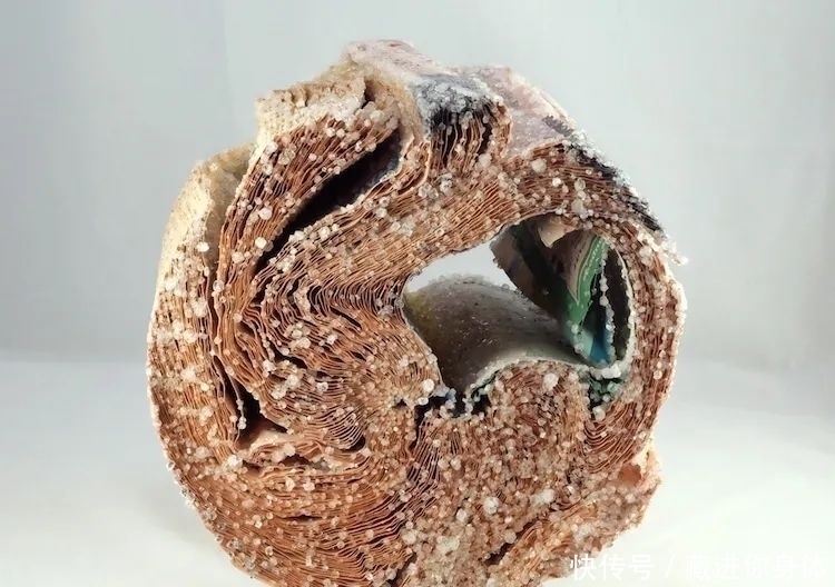 书本&她创作雕塑时“开挂”了:把书丢进水里,等2天作品就完成了